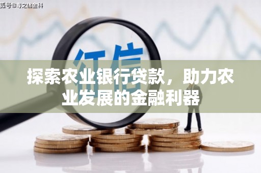 汉阴探索农业银行贷款，助力农业发展的金融利器